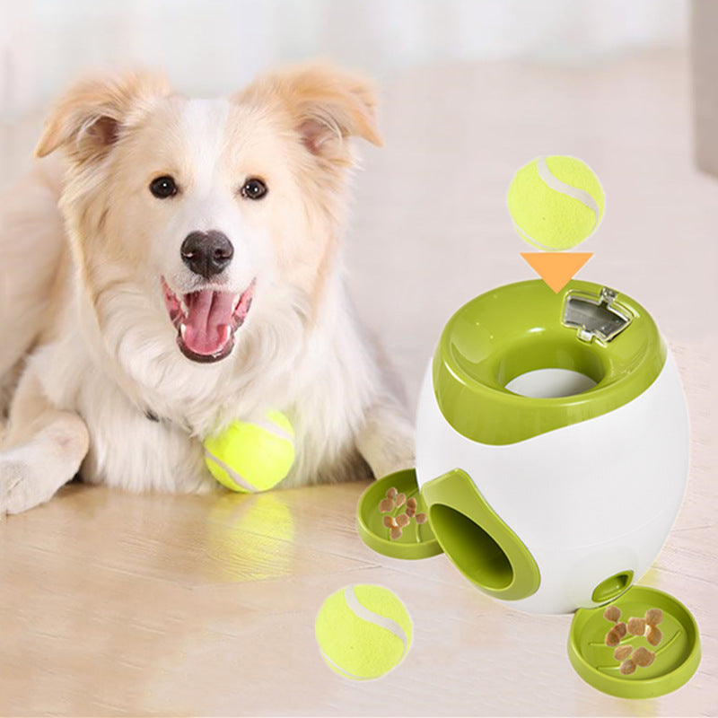 Pet toy feeder