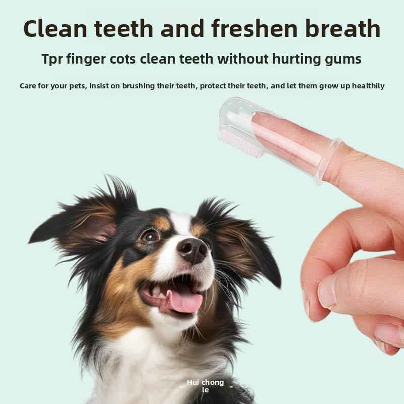 Dog Toothbrushing Tool