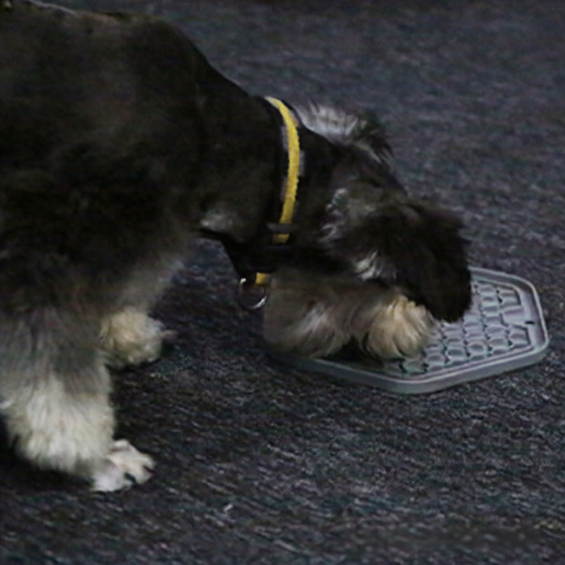Foldable Silicone Slow Feeder Mat for Small Pets