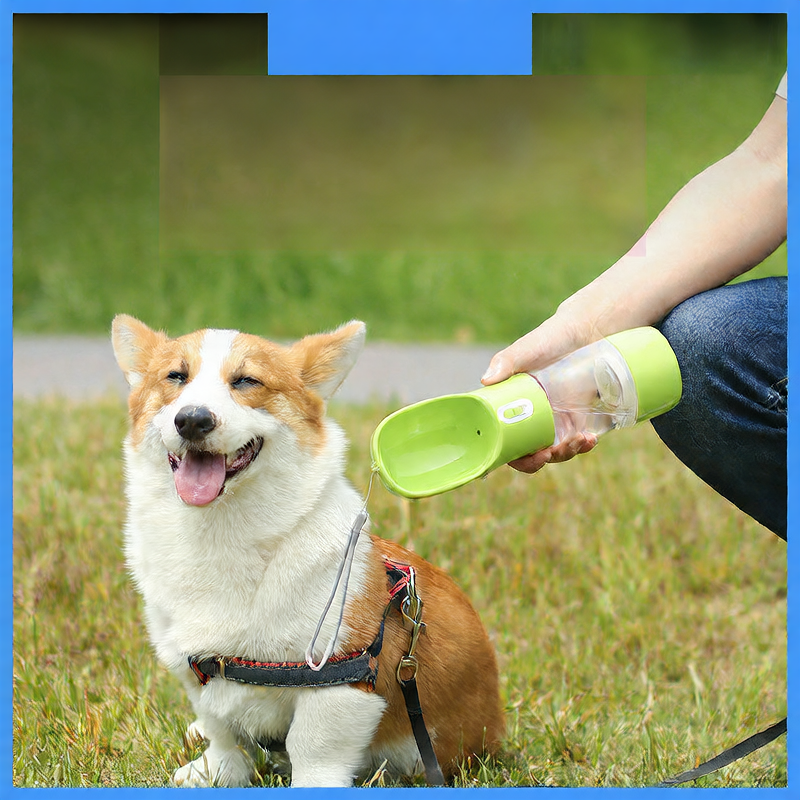 Portable Outdoor Dog Cup